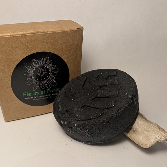 Shampoing cheveux gras - 90 g BARDANE / CHARBON
