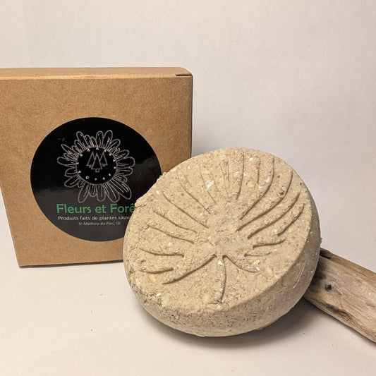 Shampoing cheveux secs - 90 g GUIMAUVE / AVOINE